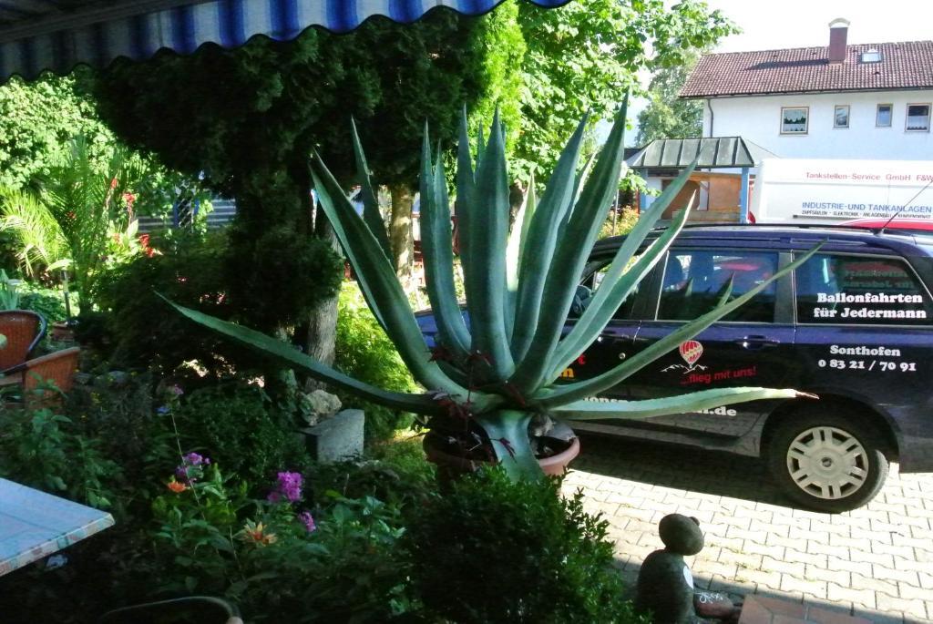 Landhotel Bauer Sonthofen Bagian luar foto